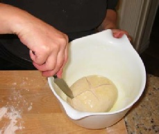 pizza dough xx12